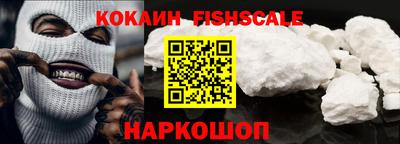 крисы Можга