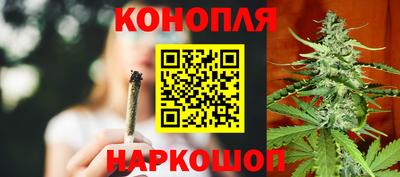 крисы Можга
