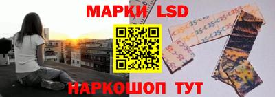 крисы Можга