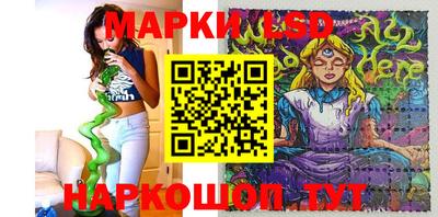 крисы Можга