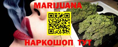 крисы Можга
