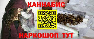 крисы Можга