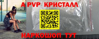 крисы Можга