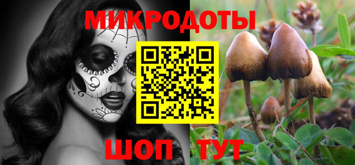 Анапа  Галлюциногенные грибы GOLDEN TEACHER  Вход с VPN 